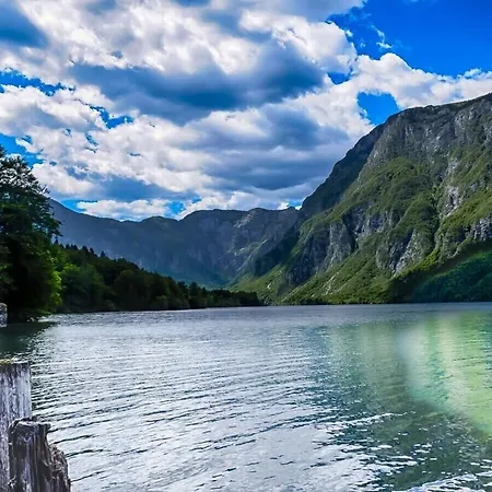 The Spacious Two-level 3appletrees * Bohinj